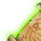 Рецепт Зелёный.png